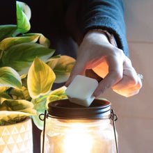 Load image into Gallery viewer, 5.5 oz Wax Melts: Peaches & Poppies