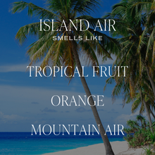 Load image into Gallery viewer, Island Air Reed Diffuser - Home Decor & Gifts