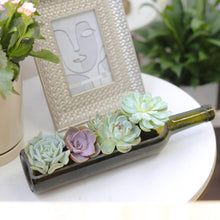 Load image into Gallery viewer, Succulent Wine Bottle Arrangement - Live Succulents
