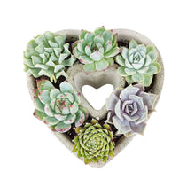 Load image into Gallery viewer, Succulent Heart Arrangement - Mother&#39;s Gift Ideas 2025
