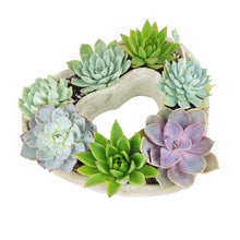 Load image into Gallery viewer, Large Succulent Heart Arrangement - Mother&#39;s Day Gift 2025
