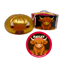 Load image into Gallery viewer, Fun Doh Farm Barnyard Squishy Dumpling Toy - 12/Display: Wholesale Price

