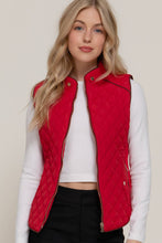 Load image into Gallery viewer, Suede Piping Detail Rib Quilted Padding Vest: BLK-black / S
