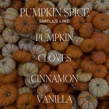 Load image into Gallery viewer, Pumpkin Spice Amber Reed Diffuser - Gifts &amp; Home Decor
