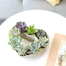 Load image into Gallery viewer, Large Succulent Heart Arrangement - Mother&#39;s Day Gift 2025
