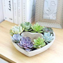 Load image into Gallery viewer, Large Succulent Heart Arrangement - Mother&#39;s Day Gift 2025
