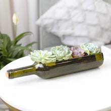 Load image into Gallery viewer, Succulent Wine Bottle Arrangement - Live Succulents
