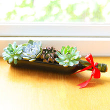 Load image into Gallery viewer, Succulent Wine Bottle Arrangement - Live Succulents

