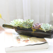 Load image into Gallery viewer, Succulent Wine Bottle Arrangement - Live Succulents
