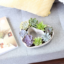 Load image into Gallery viewer, Large Succulent Heart Arrangement - Mother&#39;s Day Gift 2025
