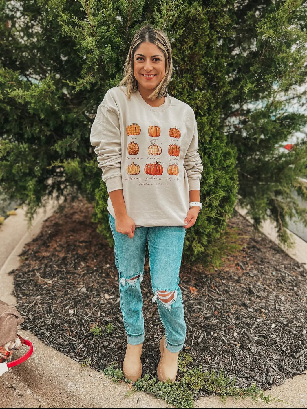 Fruit of the spirit pumpkin sweatshirt