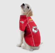 Load image into Gallery viewer, Pet Chiefs Jersey
