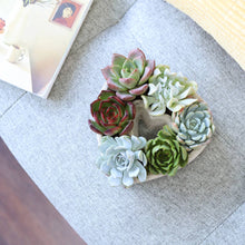 Load image into Gallery viewer, Succulent Heart Arrangement - Mother&#39;s Gift Ideas 2025
