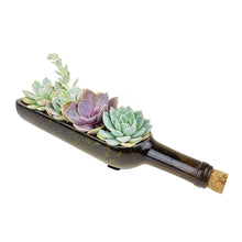 Load image into Gallery viewer, Succulent Wine Bottle Arrangement - Live Succulents
