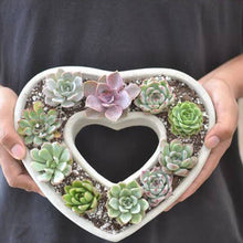 Load image into Gallery viewer, Large Succulent Heart Arrangement - Mother&#39;s Day Gift 2025
