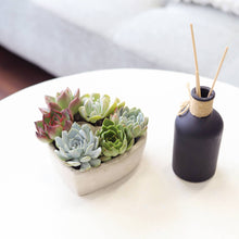 Load image into Gallery viewer, Succulent Heart Arrangement - Mother&#39;s Gift Ideas 2025
