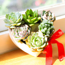 Load image into Gallery viewer, Succulent Heart Arrangement - Mother&#39;s Gift Ideas 2025
