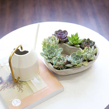 Load image into Gallery viewer, Large Succulent Heart Arrangement - Mother&#39;s Day Gift 2025
