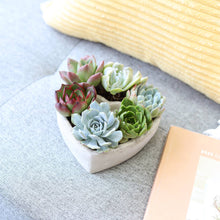 Load image into Gallery viewer, Succulent Heart Arrangement - Mother&#39;s Gift Ideas 2025

